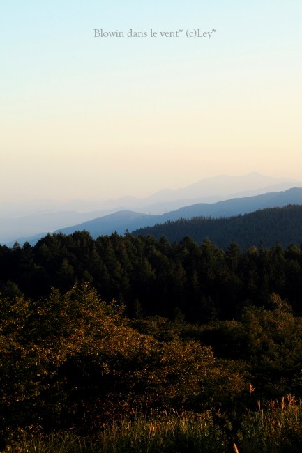 f0251765_1292283.jpg