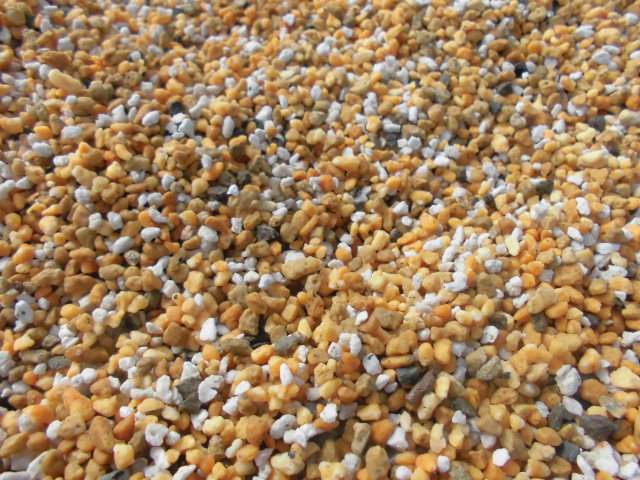 f0318967_20331815.jpg