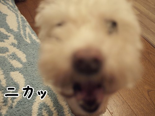 e0248268_22312688.jpg
