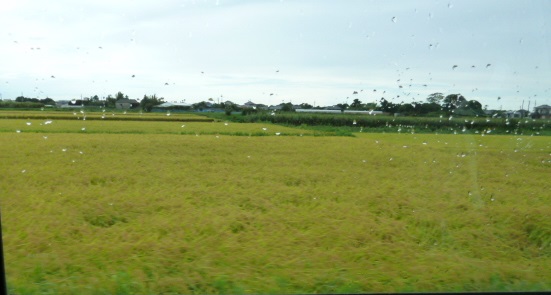 e0278968_21563891.jpg