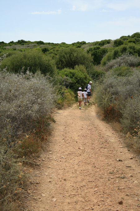 b0120269_3491850.jpg