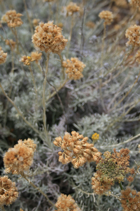 b0120269_355465.jpg