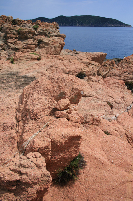 b0120269_357339.jpg