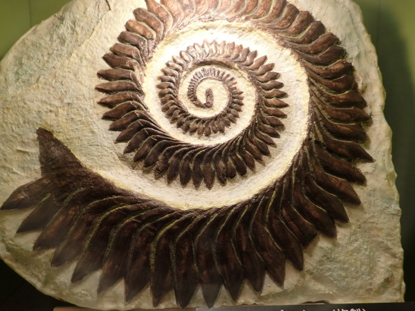 c0122670_01492741.jpg