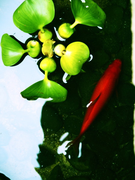 c0122670_01552930.jpg