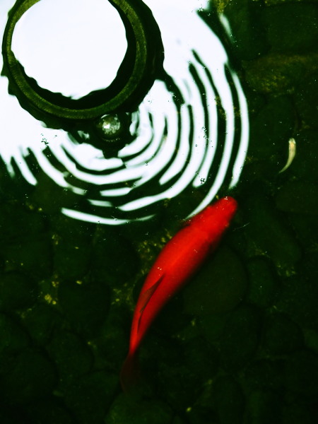 c0122670_01552979.jpg