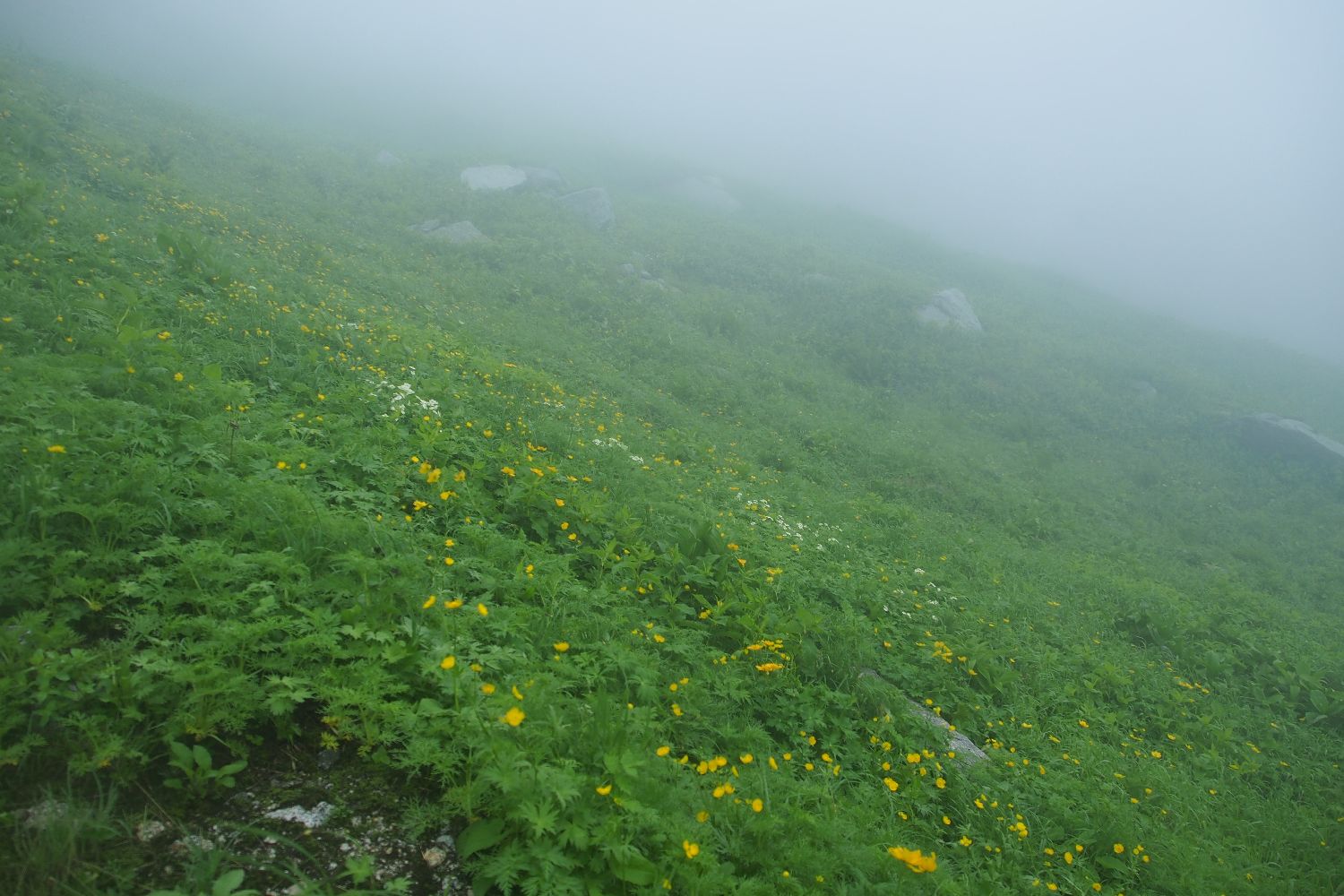 e0307372_15255930.jpg