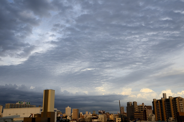 f0108478_21462439.jpg