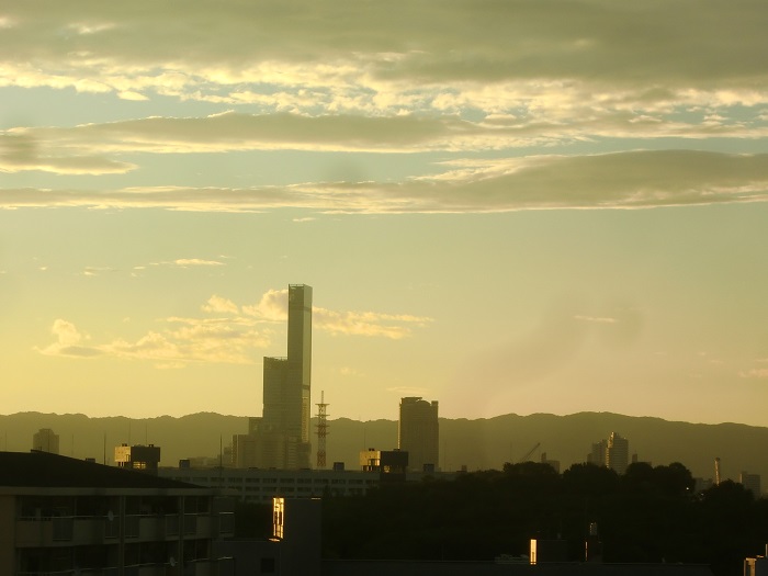 f0238779_1331462.jpg