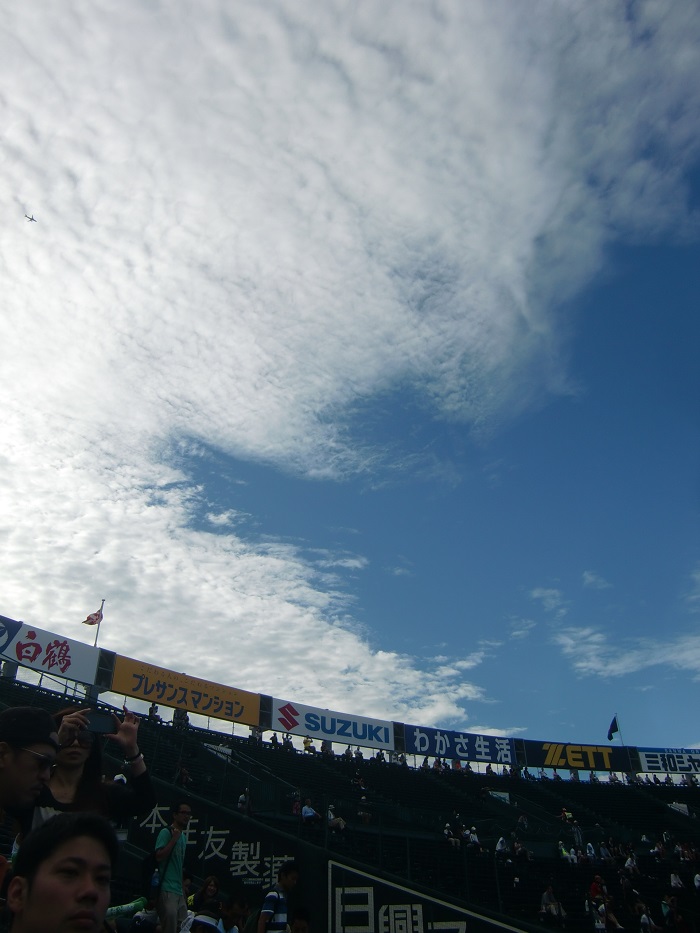 f0238779_13372530.jpg