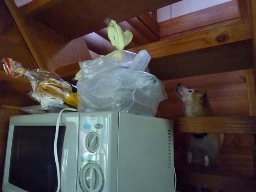 c0123890_1532080.jpg