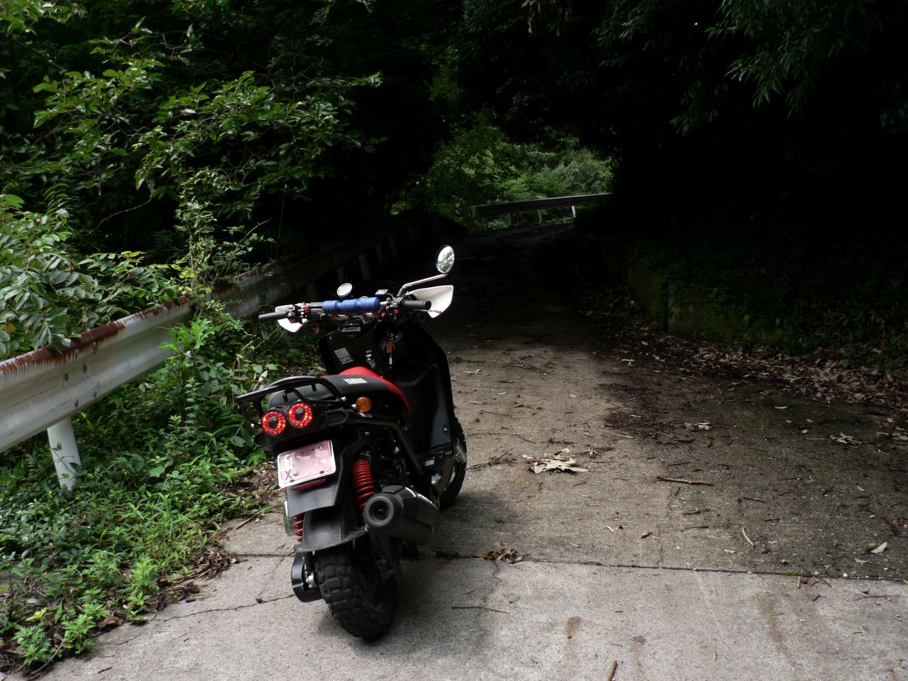 c0001613_1627168.jpg