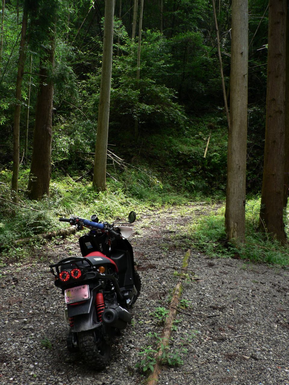 c0001613_20254491.jpg