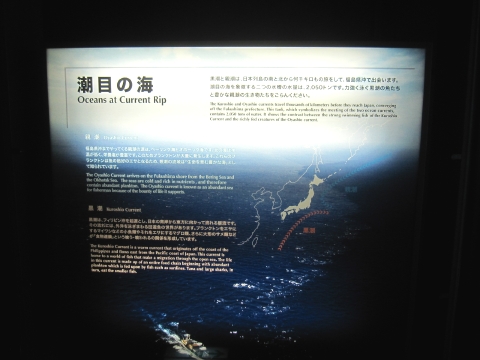 e0033013_2354170.jpg