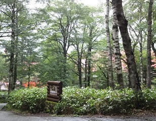 b0191418_1155566.jpg