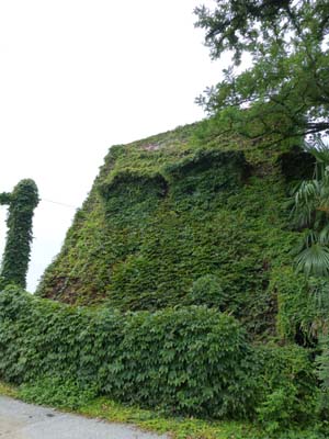 c0227720_22525624.jpg