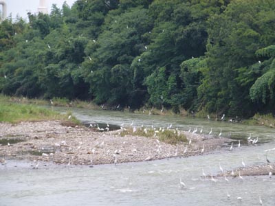 c0227720_22552256.jpg