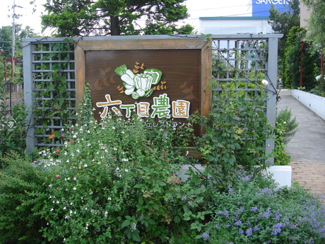 d0250123_20443463.jpg
