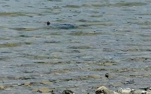 a0050227_21434575.jpg