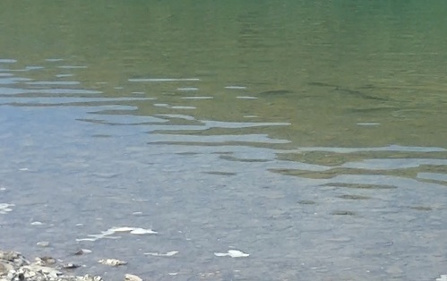 a0050227_21454076.jpg