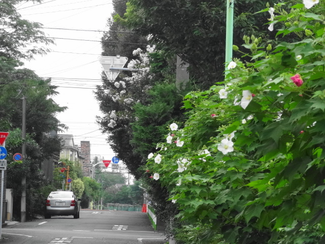 e0016828_11552099.jpg