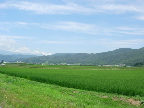a0244631_169585.jpg