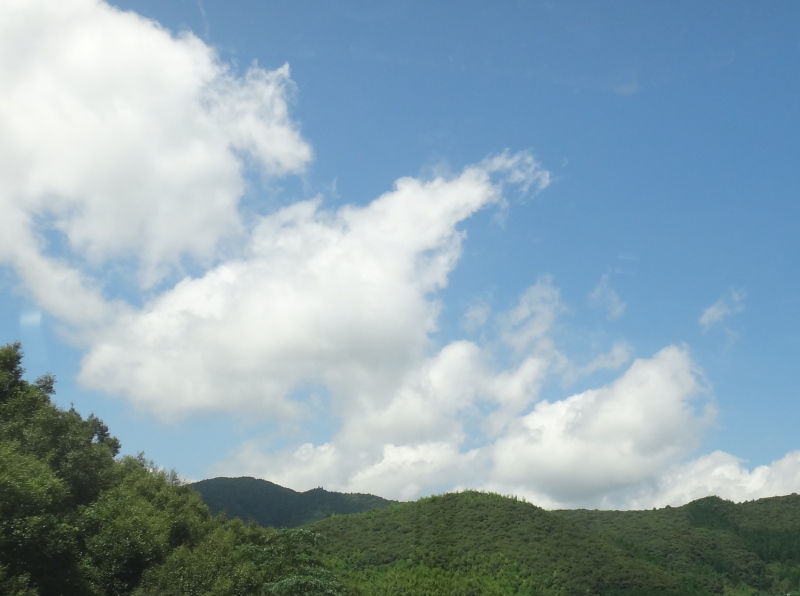 a0156834_013205.jpg