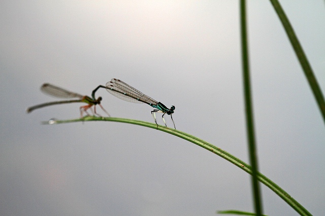 a0242438_1883068.jpg