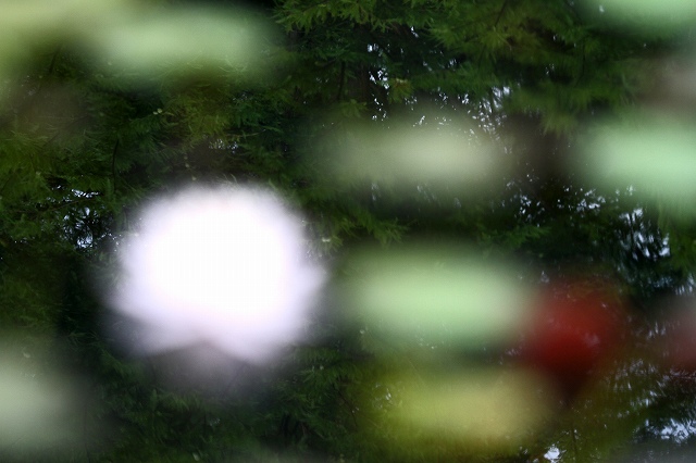 a0242438_1891640.jpg