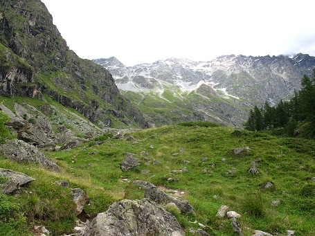 d0167041_61473.jpg