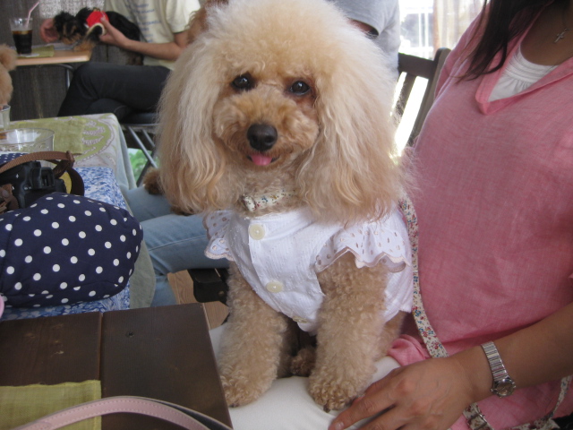 c0134645_23134316.jpg