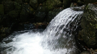 e0098054_23294358.jpg