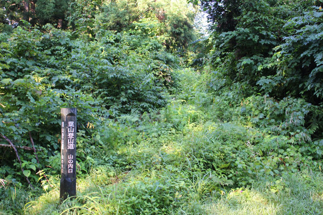 c0116856_1803232.jpg