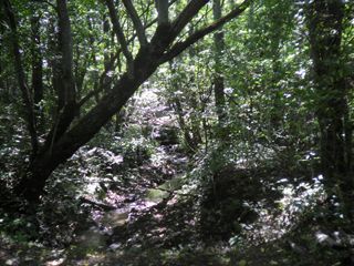 d0045362_20202446.jpg
