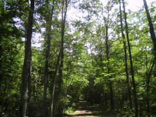d0045362_2020489.jpg