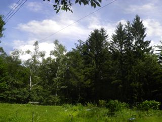 d0045362_20205310.jpg