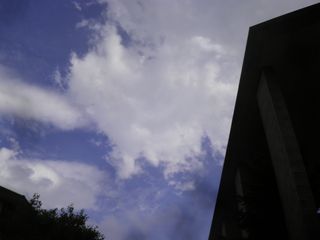 d0045362_2022666.jpg