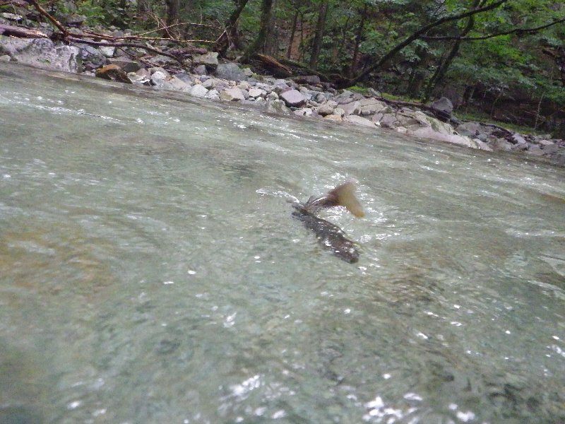 c0214764_21261572.jpg