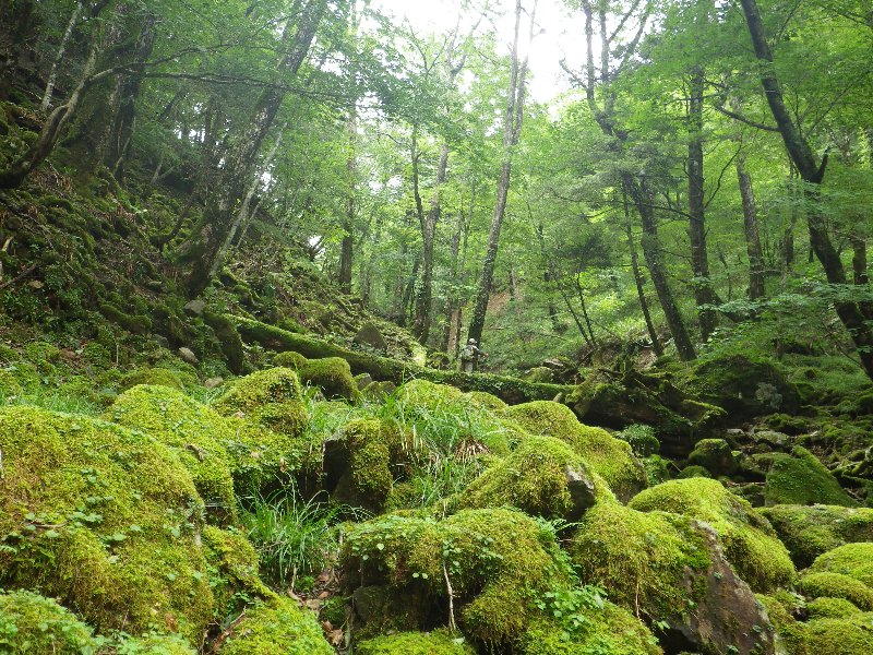 c0214764_21273853.jpg