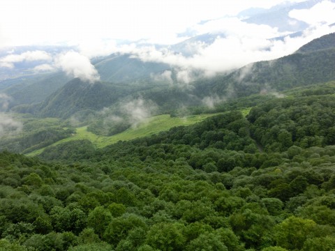 e0045768_2259979.jpg