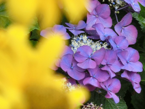 e0045768_2345813.jpg