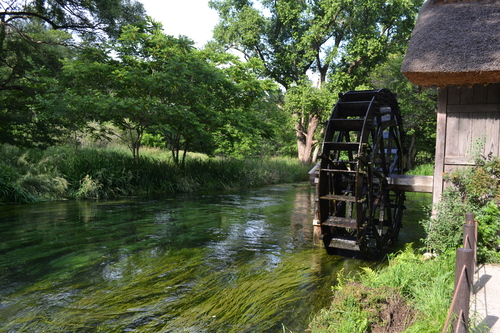 f0342371_1472362.jpg