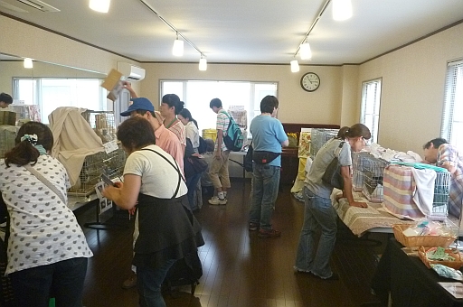 c0268274_23221262.jpg