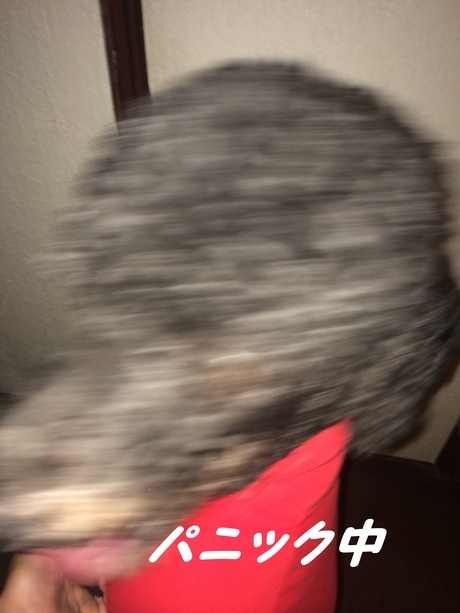 c0283778_14483917.jpg
