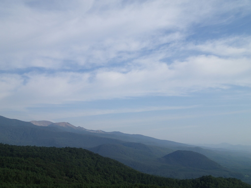 a0279883_17114878.jpg