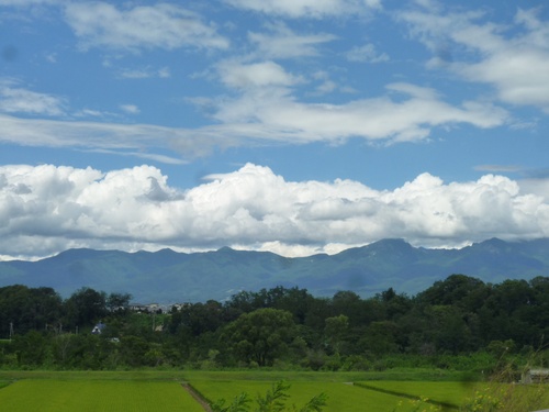 c0123890_2038049.jpg