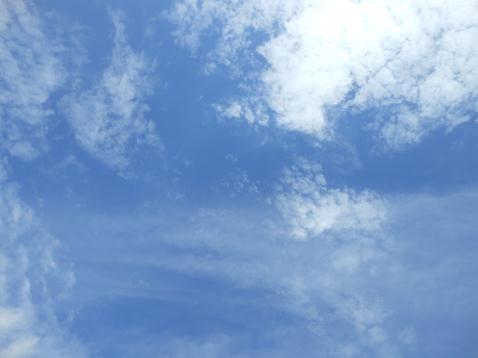 c0028792_21195084.jpg