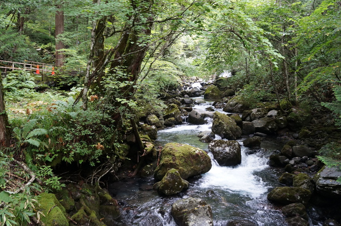 e0241093_16221383.jpg