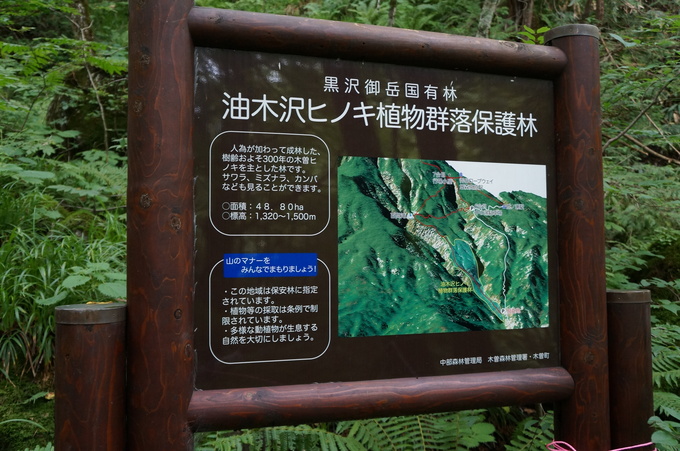 e0241093_16231349.jpg