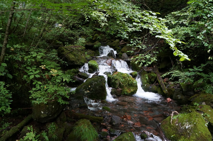 e0241093_16244272.jpg